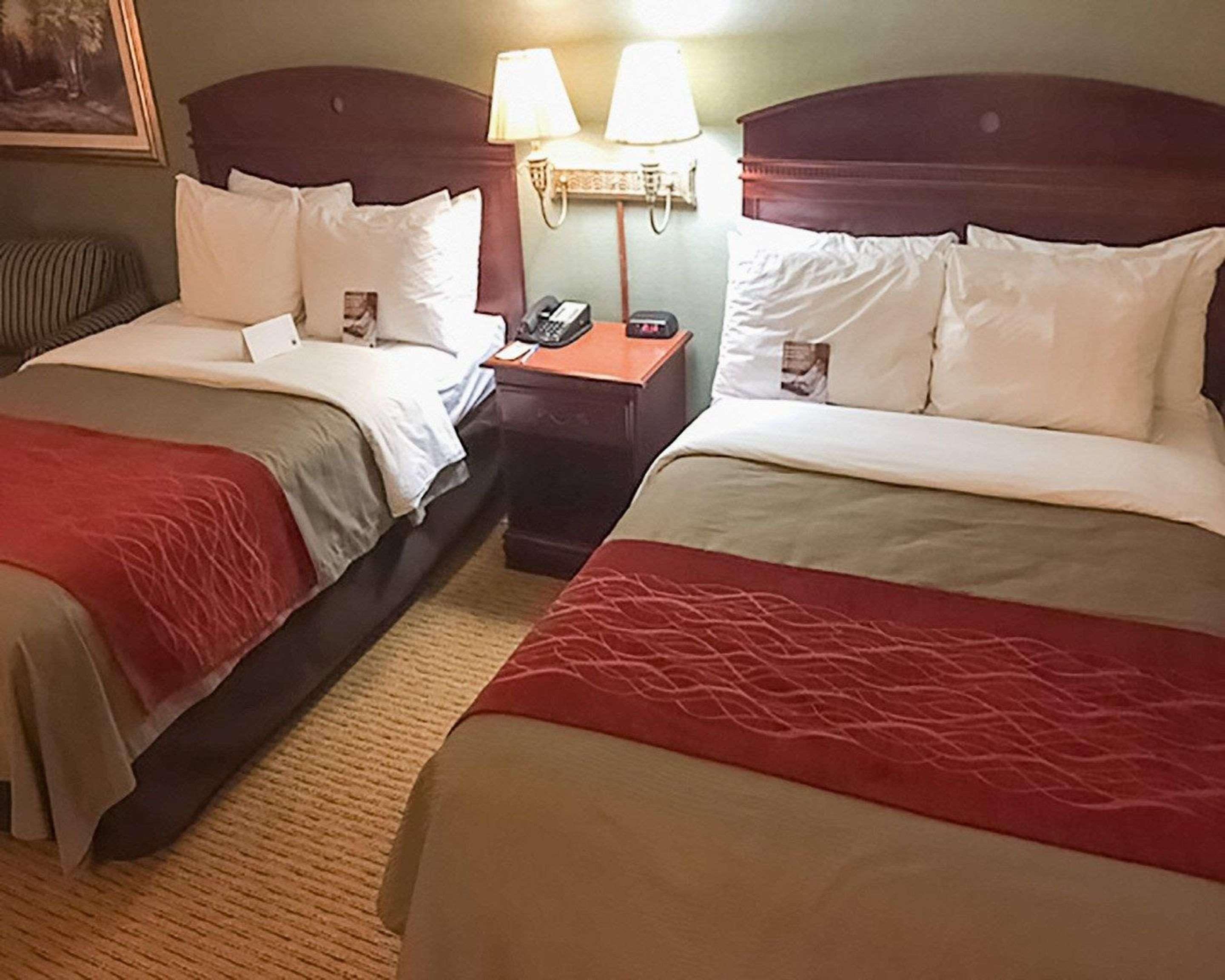 Comfort Inn Springfield Exterior photo